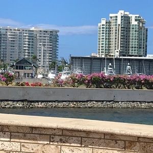 Meet your Posher, Ricky